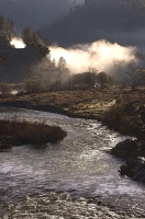 Digital art photo of the American River Digital art of early morning fog over the confluence of the north and middle forks of the American River, created from an original photograph