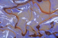 Digital art photo of a mud puddle Digital Art of a frozen mud puddle, created from an original photograph