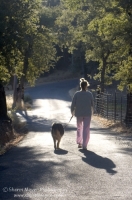 Rural Auburn, California  Woman walking with her dog down a country road, Auburn California