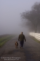 Rural Auburn, California  Man walking his dog down a foggy country road, Auburn California
