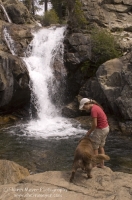 Canyon Creek, California Hiker and her dog checking out a swimming hole on Canyon Creek, Tahoe National Forest, California