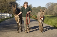 Rural Auburn, California  Woman walking down a country lane with her horse and donkey, Auburn, California