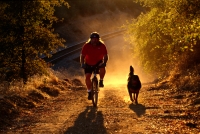 Mountain Biking, Rural Auburn, California Man mountain biking with his dog, rural Auburn, California