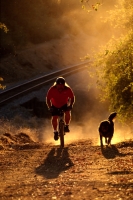 Mountain Biking in Rural Auburn, California Man mountain biking with his dog, Rural Auburn, California