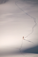 Woman running down Sand Mountain, Nevada Woman running down a dune at Sand Mountain, Nevada
