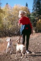 Senior woman hiking with dogs, Truckee, California Woman stopping on the trail to play with her dogs, Truckee, California 