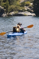 Man and dog kayaking Lake Faucherie, California Man and his dog kayaking Lake Faucherie