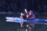 Man and dog kayaking Deer Creek Reservoir, California Man sea kayaking with dog on Deer Creek Reservoir, Nevada City, California