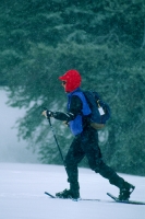 Woman snowshoeing, Clair Tappaan Lodge, California  Woman snowshoeing during a snowstorm at Clair Tappaan Lodge, Soda Springs, California