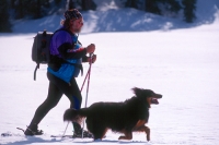 Man snowshoeing with dog, Castle Peak, California Man snowshoeing with his dog at Castle Peak, Northern California