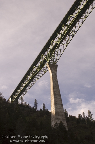 DT CA 01 02 jpg 