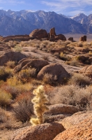 Eastern Sierras