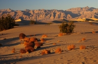 DT-CA-06-16 Sand Dunes near Stovepipe Wells, Death Valley National Park, California