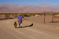DT-CA-08-15 Man and dog walking down Cottonwood Canyon Road, Stovepipe Wells, Death Valley National Park, California