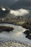 American River, Auburn, California Early morning fog over the confluence of the north and middle forks of the American River, Auburn, California