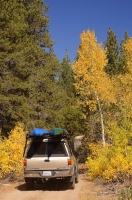 DT-CA-15-01 Fall colors road-trip, in Hope Valley, Alpine County, California