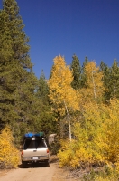 Hope Valley, California Fall colors road-trip, in Hope Valley, Alpine County, California