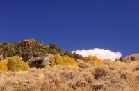 DT-CA-16-03 Chemung Mine, Bridgeport, California