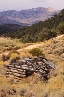 DT-CA-17-03 Masonic Ghost Town, Bridgeport, California
