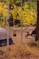 DT-CA-19-03 Fall camping at Buckeye Campground, Bridgeport, California