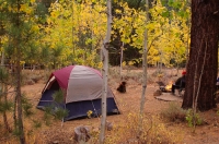 Camping At Buckeye Campground Fall camping at Buckeye Campground, Bridgeport, California