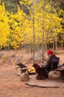 DT-CA-19-07 Fall camping at Buckeye Campground, Bridgeport, California