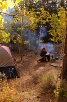 DT-CA-19-12 Fall camping at Buckeye Campground, Bridgeport, California