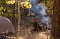 DT-CA-19-15 Fall camping at Buckeye Campground, Bridgeport, California