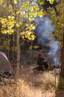 DT-CA-19-17 Fall camping at Buckeye Campground, Bridgeport, California