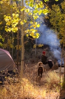 Camping At Buckeye Campground Fall camping at Buckeye Campground, Bridgeport, California