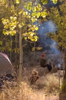 DT-CA-19-19 Fall camping at Buckeye Campground, Bridgeport, California