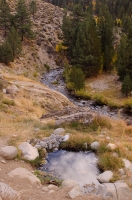 DT-CA-20-03 Buckeye Hot Springs, Bridgeport, California