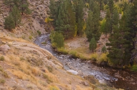 DT-CA-20-04 Buckeye Hot Springs, Bridgeport, California