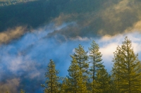 DT-CA-2120 A blanket of fog hovers over the North Fork of the American River, Auburn, California.