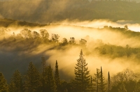 DT-CA-2121 A blanket of fog hovers over the North Fork of the American River, Auburn, California.