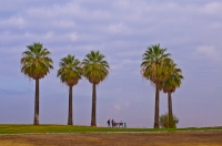 DT-CA-2144 Family enjoying the panorama at Panorama Park, Bakersfield, California.