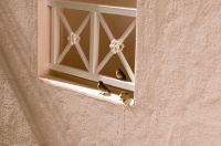 Cabo San Lucas, Mexico Birds perched on a veranda, Pueblo Bonito Rose' Resort, Cabo San Lucas, Baja California, Mexico