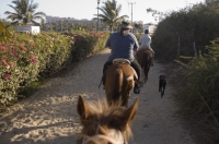 Cabo San Lucas, Mexico Tourists and guide horseback riding in Cabo San Lucas, Baja California, Mexico