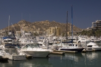 Cabo San Lucas, Mexico Marina, Cabo San Lucas, Baja California, Mexico