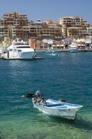 Cabo San Lucas, Mexico Pelicans perched on a fishing boat in the harbor, Cabo San Lucas, Baja California, Mexico