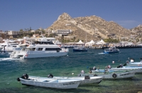 Cabo San Lucas, Mexico Busy Harbor, Cabo San Lucas, Baja California, Mexico