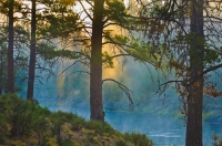 DT-OR-0001 Riviere des Chutes Magie (Deschutes River Magic)
