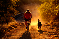 Adventure/Outdoor Lifestyles